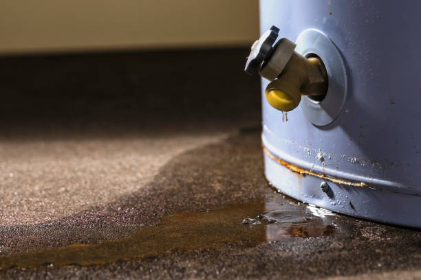 Best Sewage cleanup and water damage restoration  in Bellefonte, DE