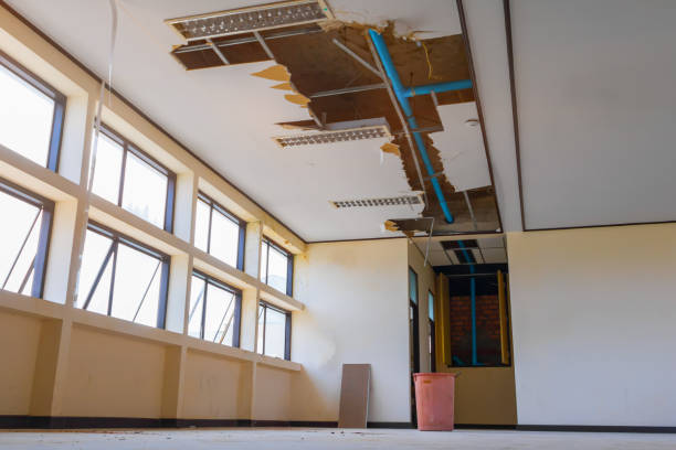 Best Sewage cleanup and water damage restoration  in Bellefonte, DE