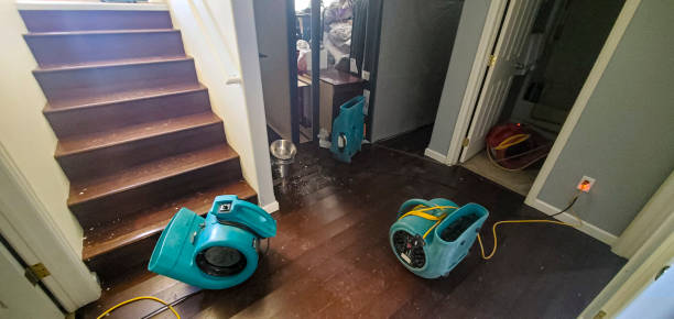 Water damage restoration process in DE