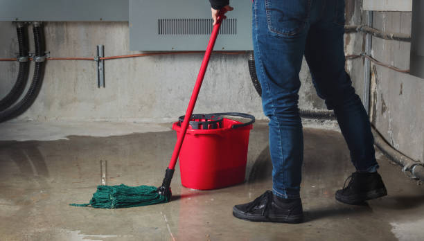 Reliable DE Water damage restoration Solutions