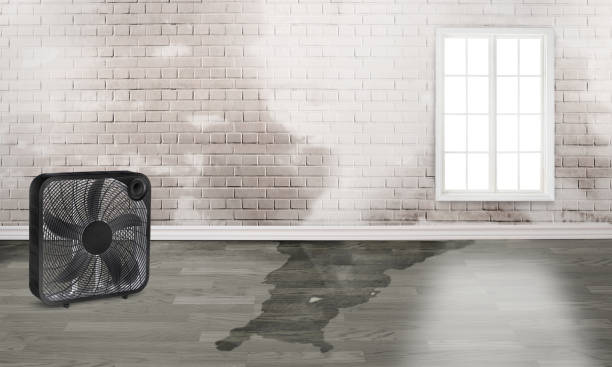 Carpet water damage restoration in DE