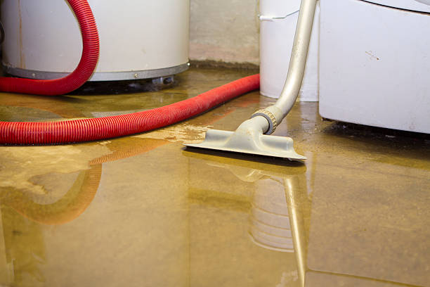 Best Basement water damage restoration  in Bellefonte, DE