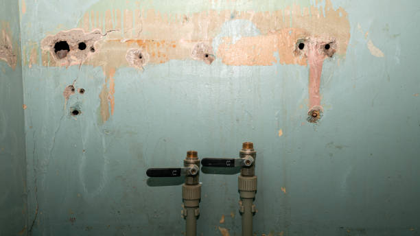 Best Flood damage cleanup  in Bellefonte, DE